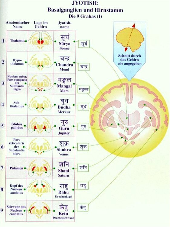 jyotish_23.jpg