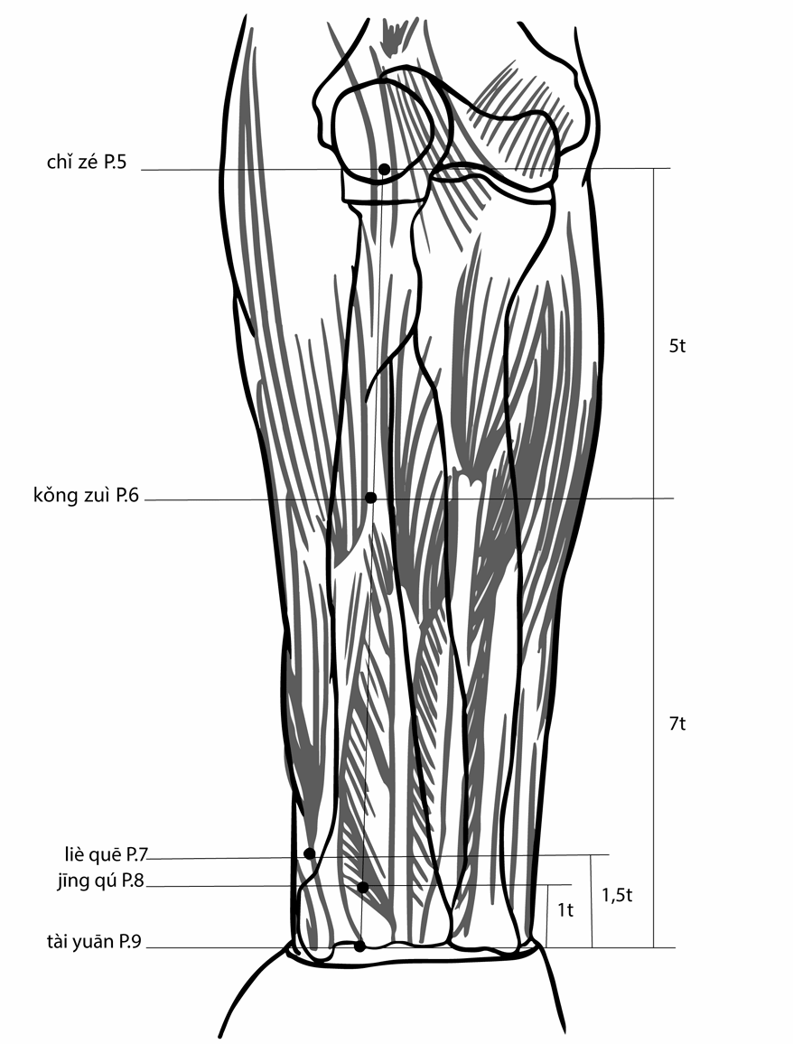 P5_P6_P7_P8_P9_1.png