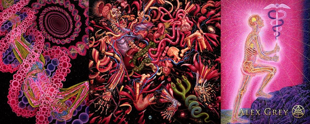 Alex_Grey-Journey_of_the_Wounded.jpg