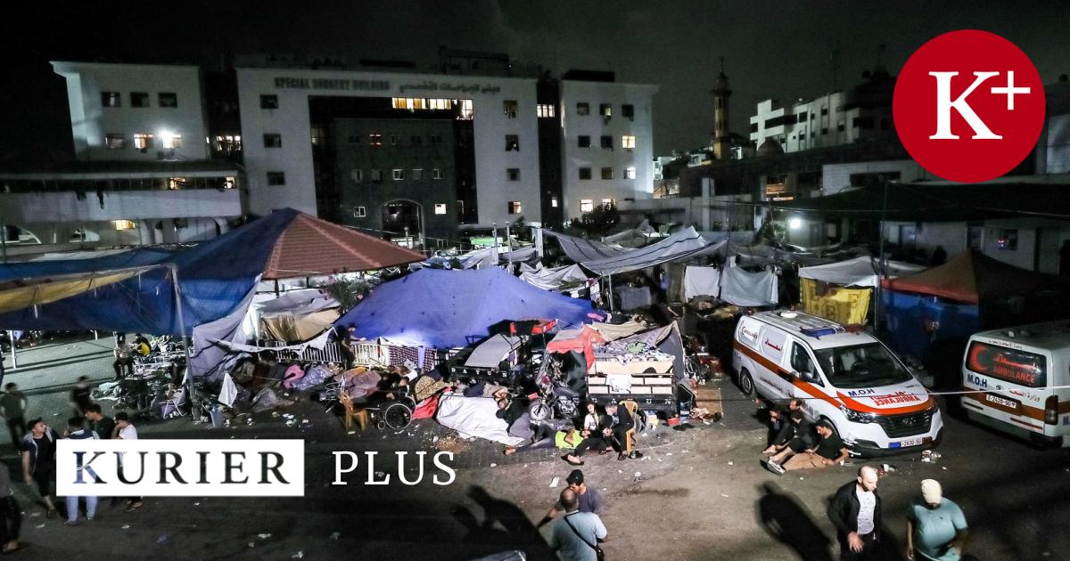kurier.at