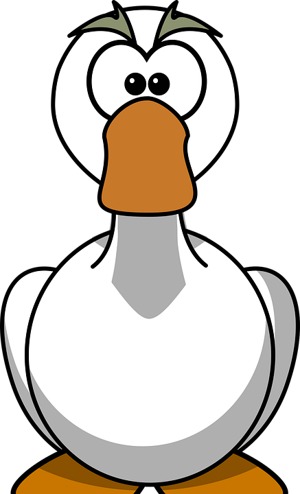 goose-311362_960_720.png