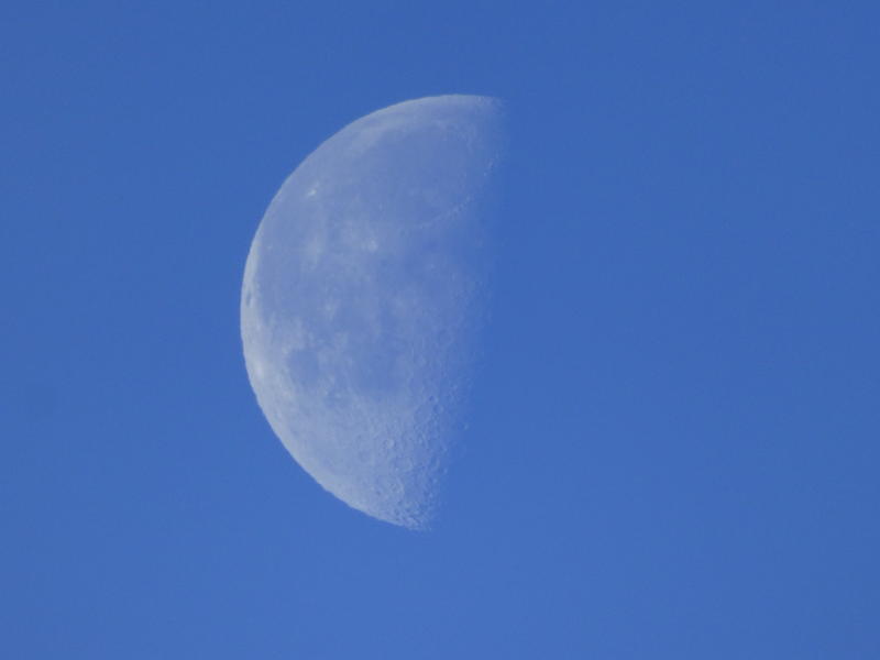 31500530wp.jpg