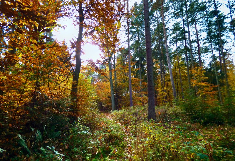 44618813cm.jpg