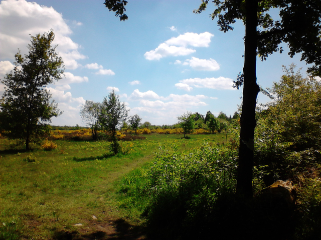 DSC00053.png