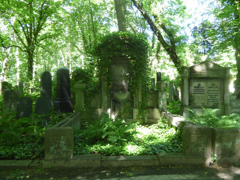 29527350rs.jpg