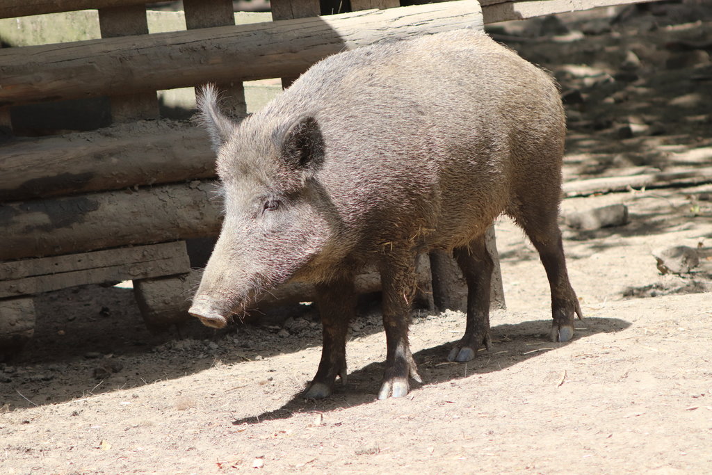 37567908sm.jpg