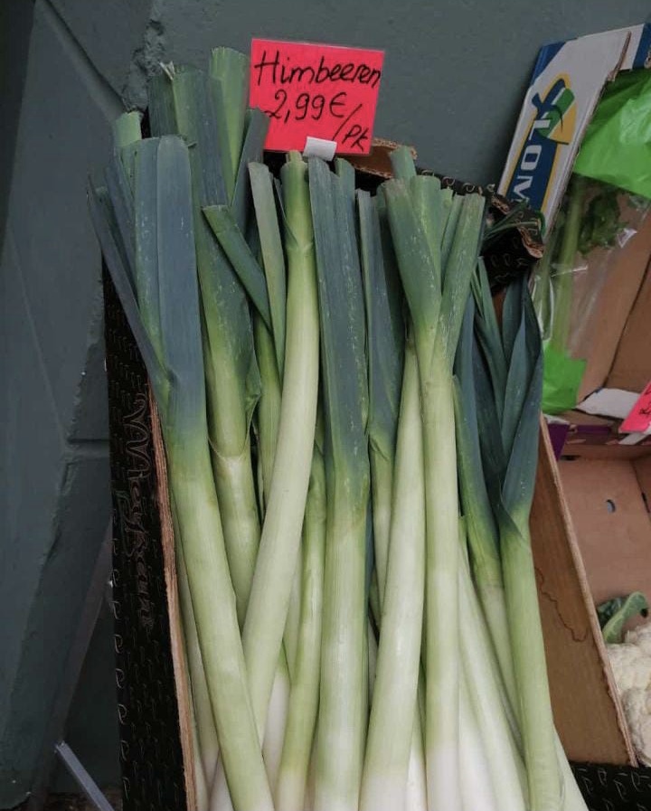 44639259vk.jpg