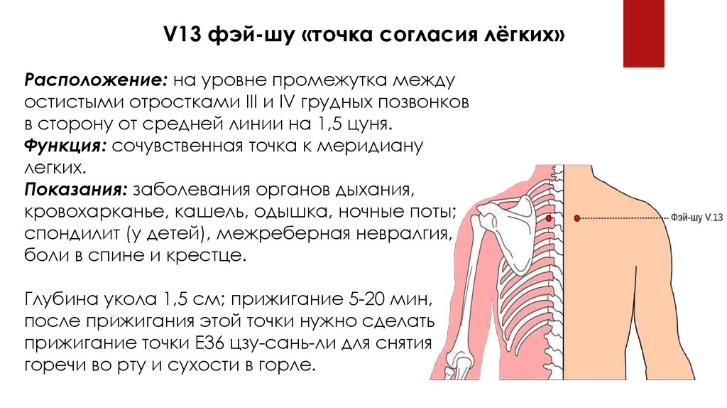 slide-4.jpg