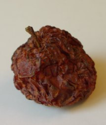 apfel_verschrumpelter_matschiger_1kl.jpg