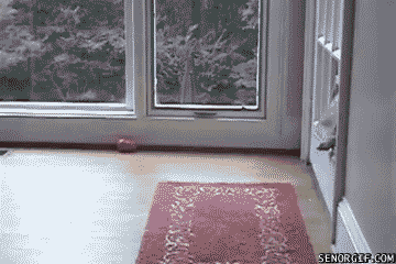 fuhsa12ozfu.gif
