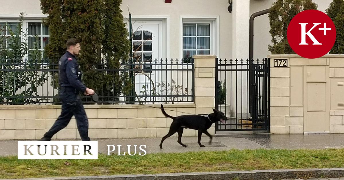 kurier.at