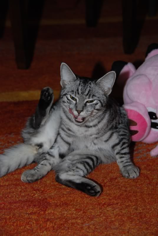 DSC_0177.jpg