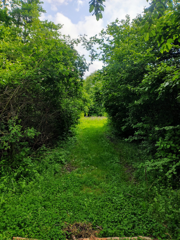 IMG-20240520-095346881-HDR-2.jpg