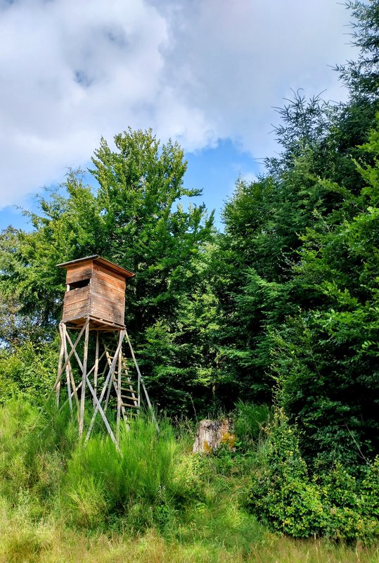 IMG-20240722-090748950-HDR-2.jpg