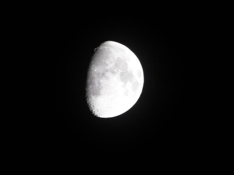 30507523os.jpg