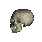 Skull-16-june.gif