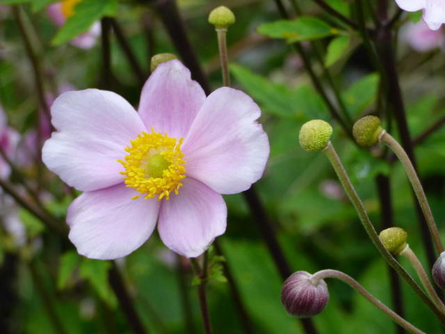33975411zw.jpg