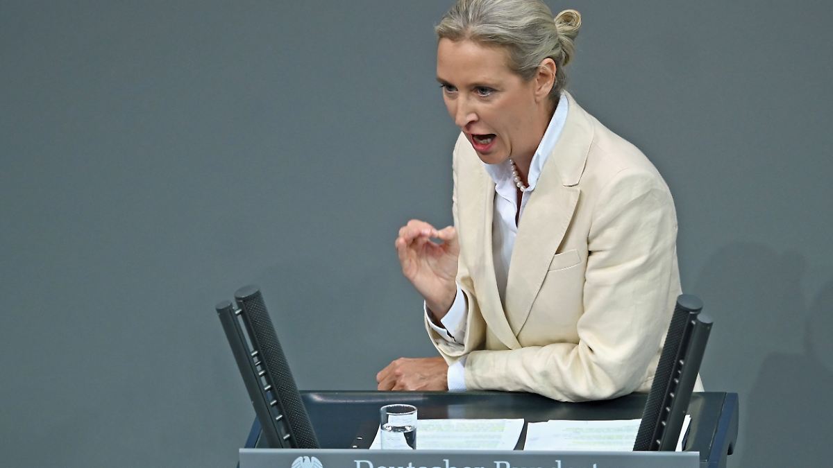 www.n-tv.de