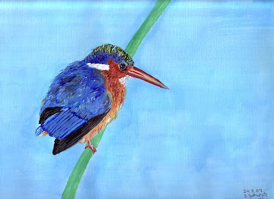 Eisvogel.jpg