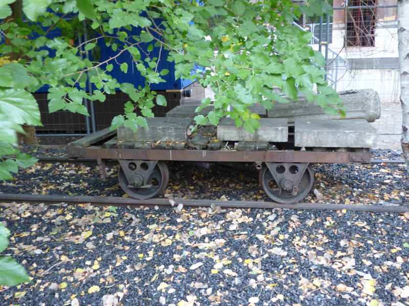 33985917vf.jpg