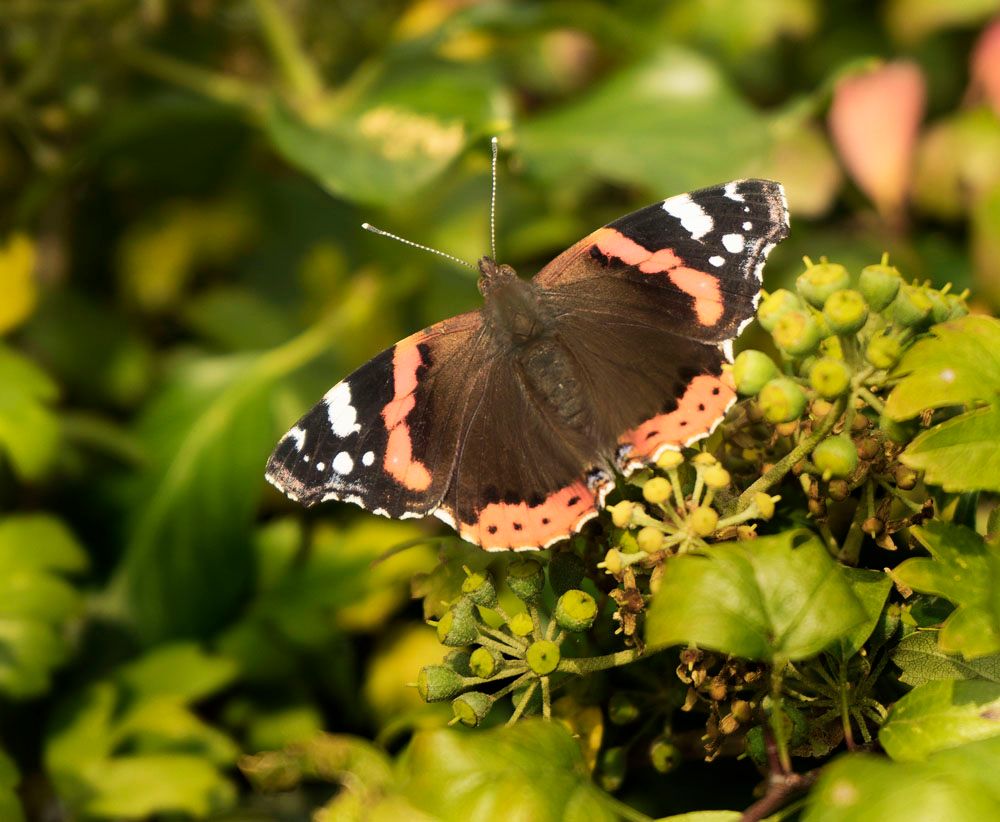 HerbstimpressTuni201410von16_zps496903a5.jpg