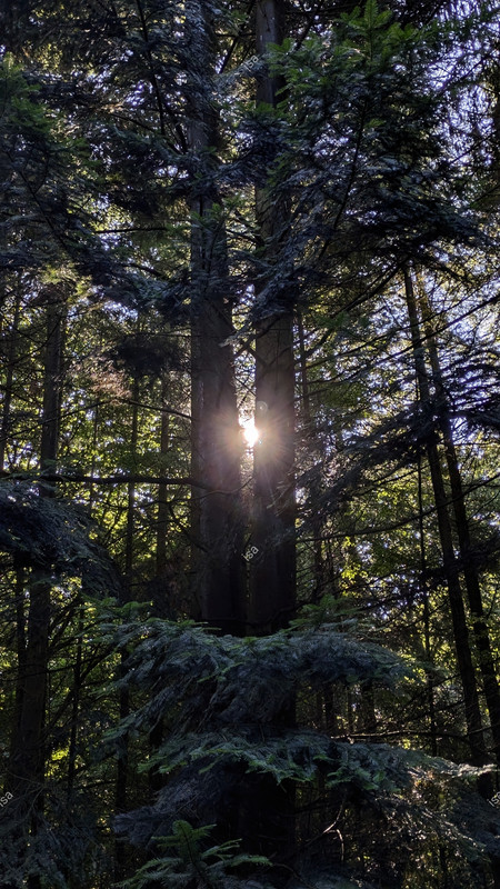 Photo-1759076510380.jpg