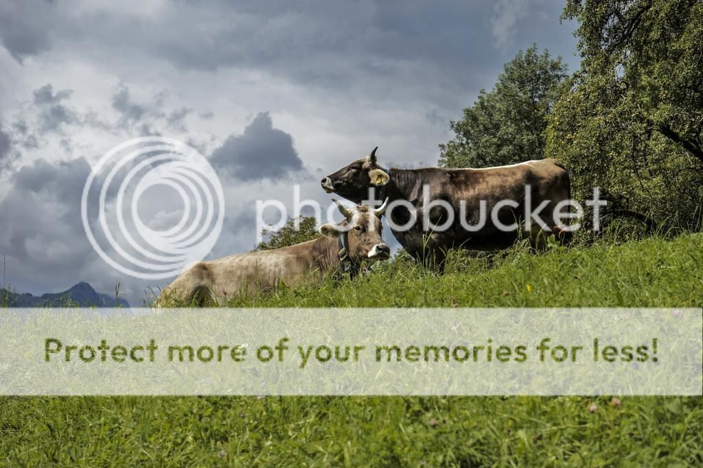Schwyz2014Lightroom77von164_zpsf701138a.jpg