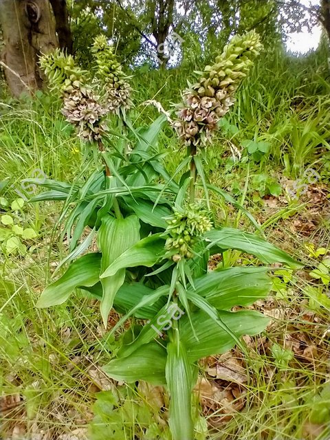 Photo-1728203022317.jpg