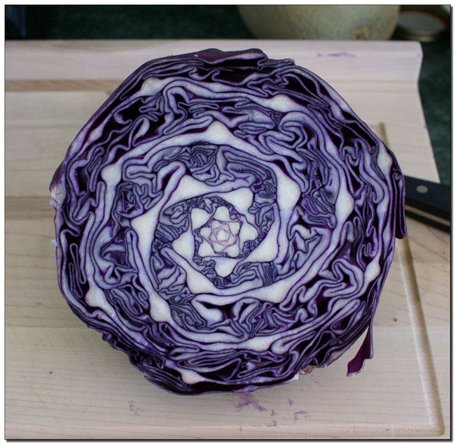 fibonacci-sequence-golden-ratio-phi4.jpg