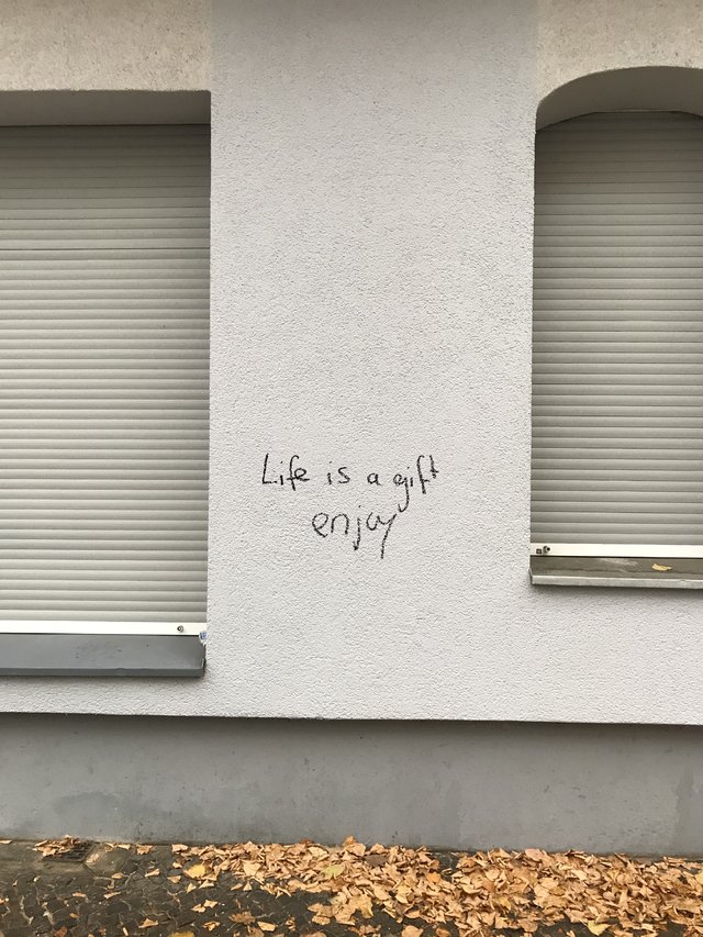 42386529wy.jpg