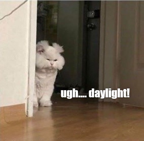 ugh-daylight