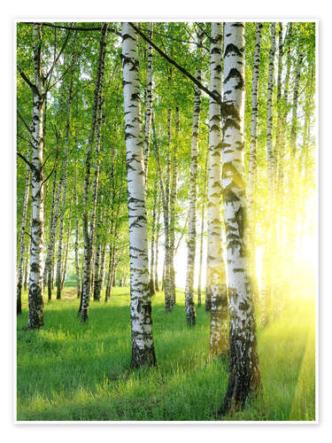 615472_poster_l.jpg