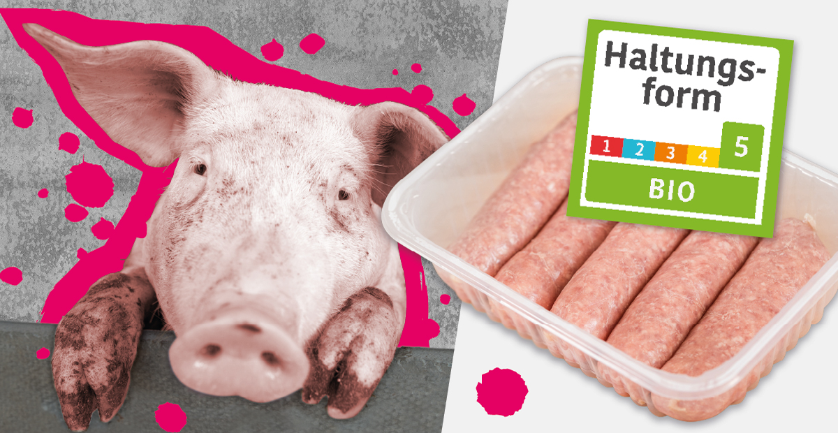 www.foodwatch.org