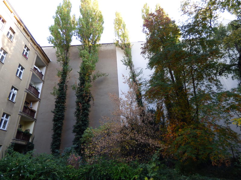 34100022kj.jpg