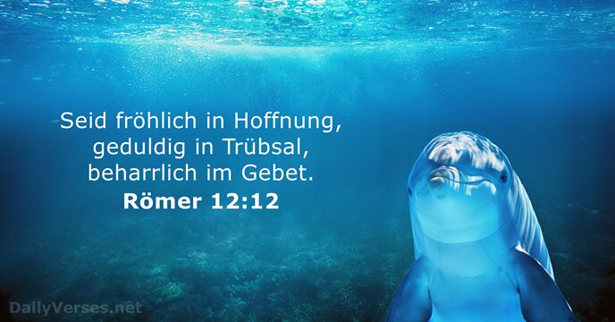 romer-12-12-2.jpg