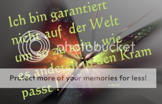 bin_nicht_auf_d_Welt_um_so_zu_sein.jpg