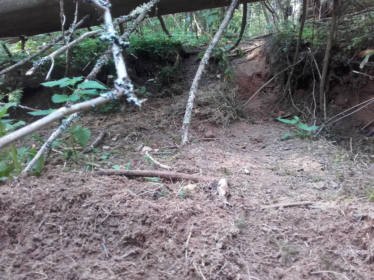 20160825_164058.jpg