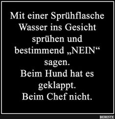 2913d82335f290c60e7190fcff417f44.jpg