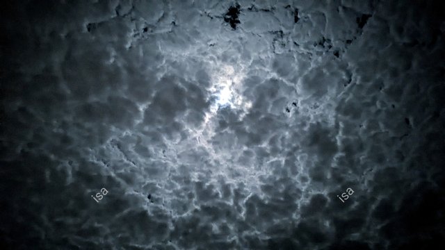 Photo-1724491020007.jpg
