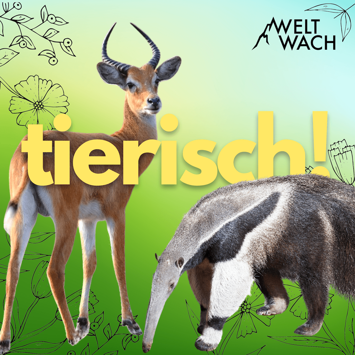 weltwach.de