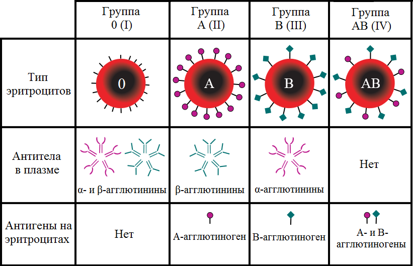ABO_blood_type_ru.png