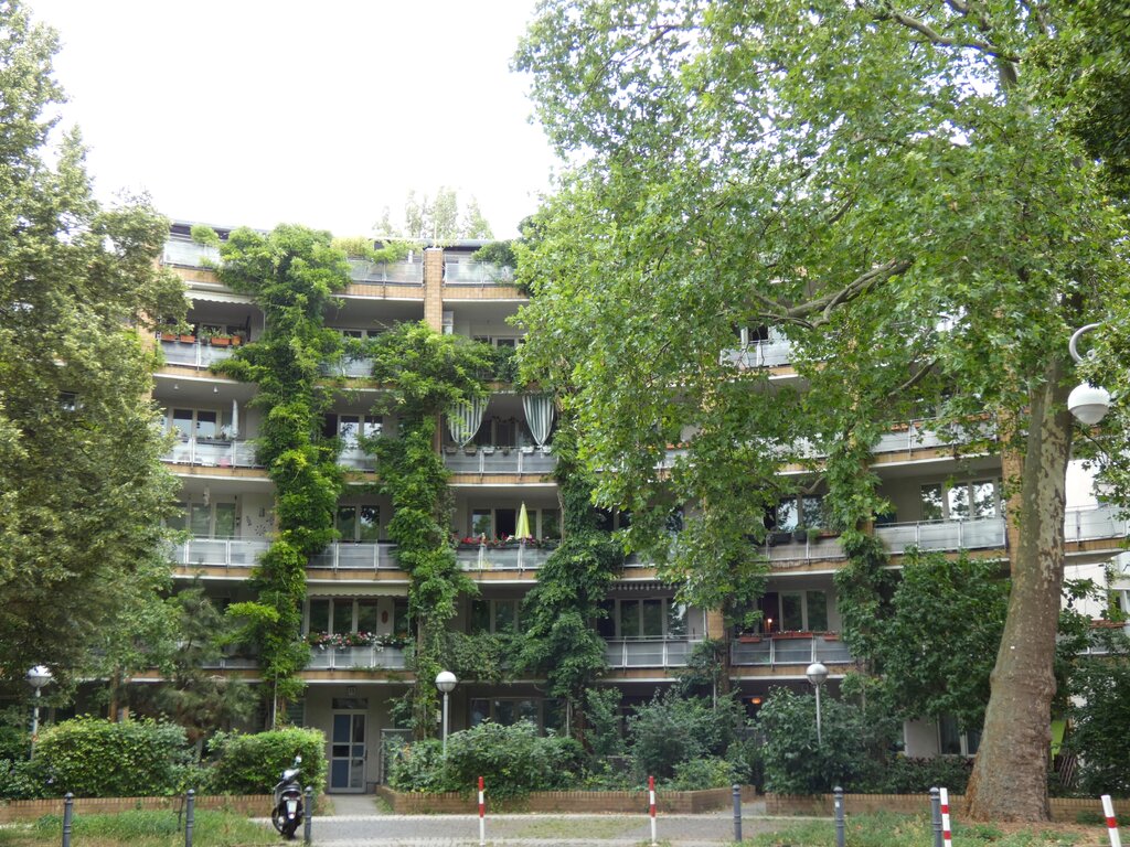 49817531jn.jpg