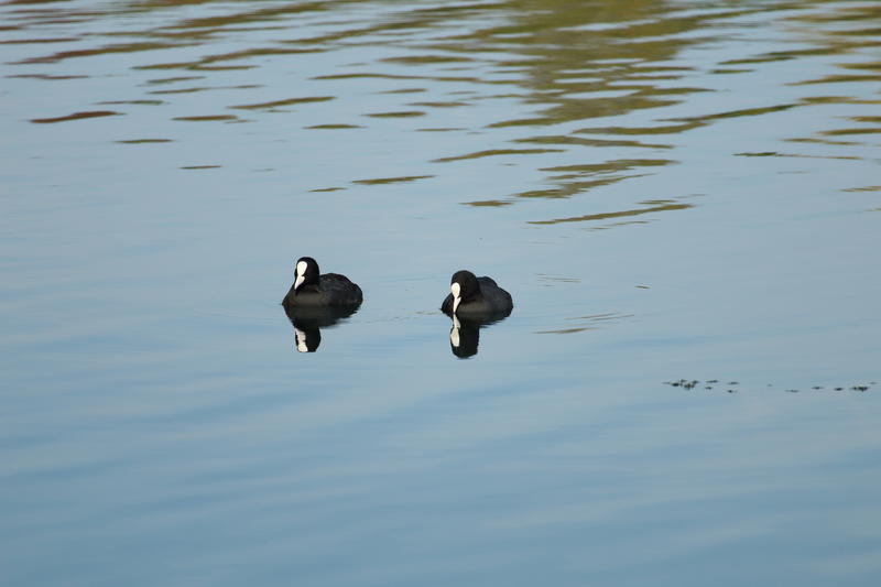 34007892lq.jpg