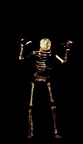 Skeleton-01-june.gif