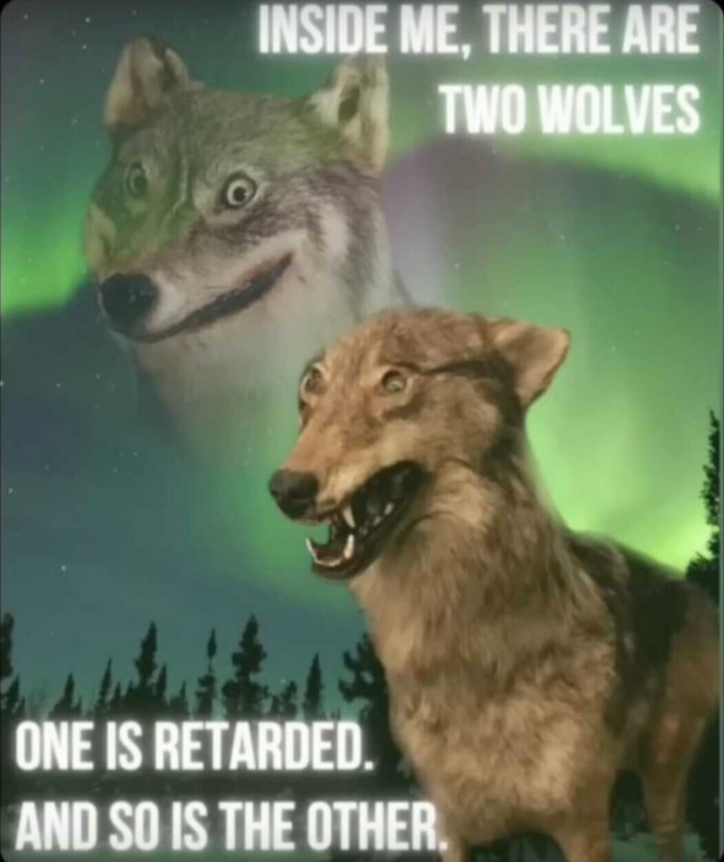 6646c8c7775fb.jpeg