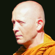 www.forestdhammatalks.org