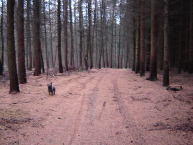 DSC01278.jpg