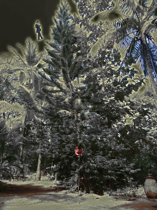 decorating-the-tree.jpg