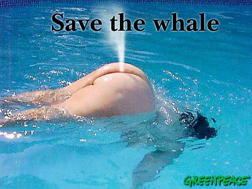 wal-greenp-fun.jpg