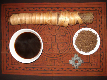Mapacho4.JPG